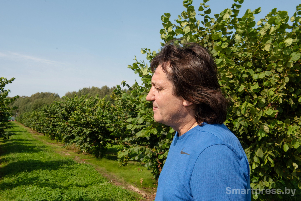 Фундоковый сад (15).jpg