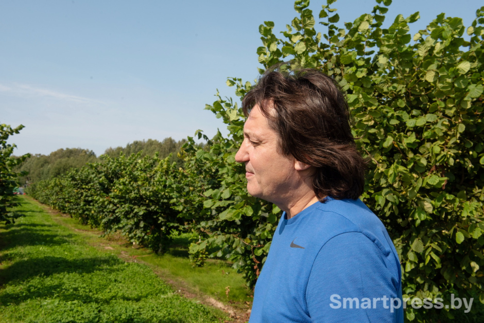 Фундоковый сад (15).jpg