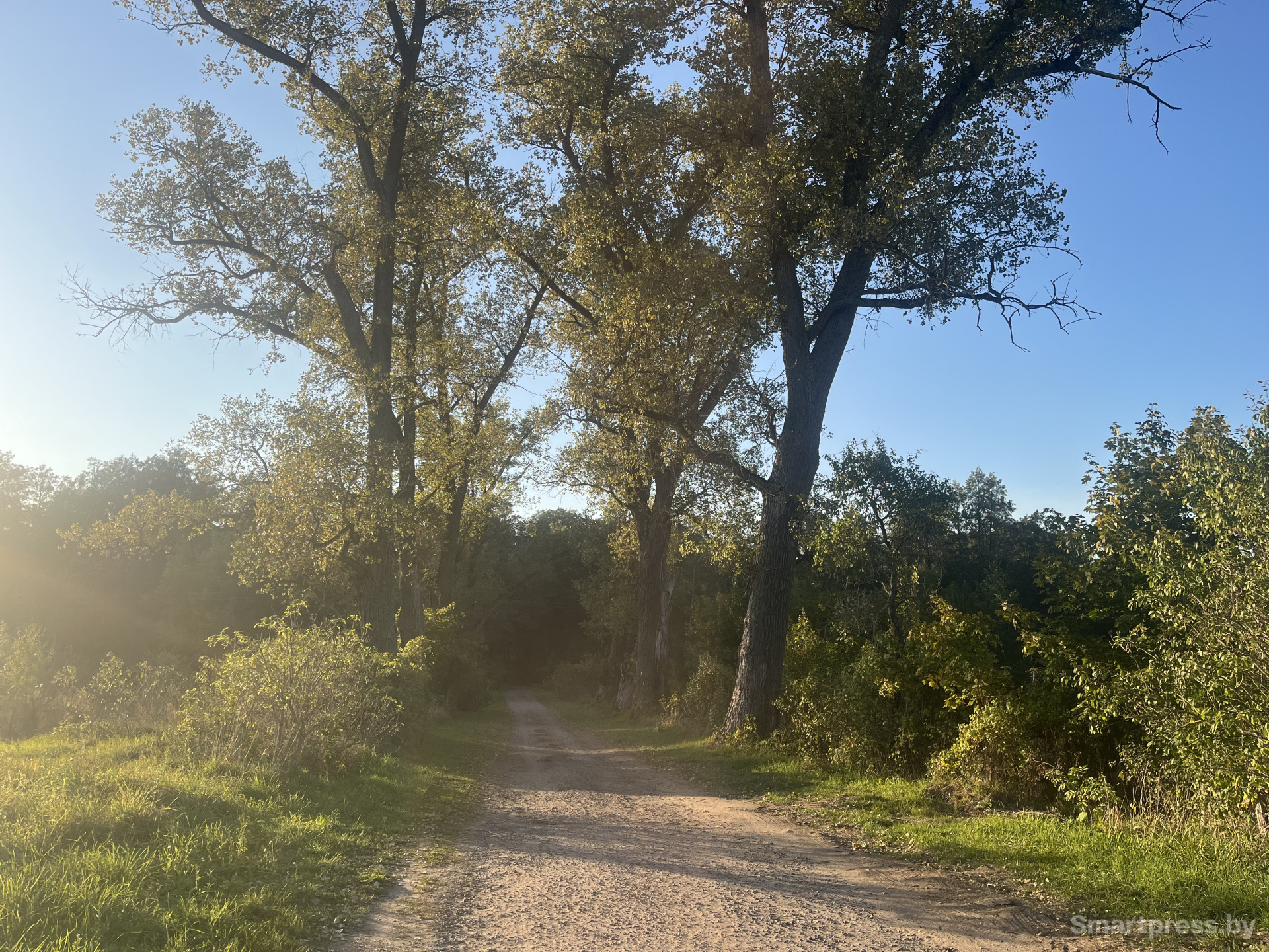 Краски в Гродненской области