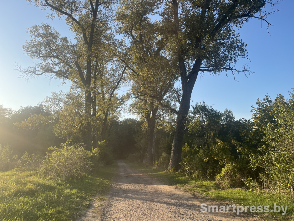 Краски в Гродненской области Краски в Гродненской области