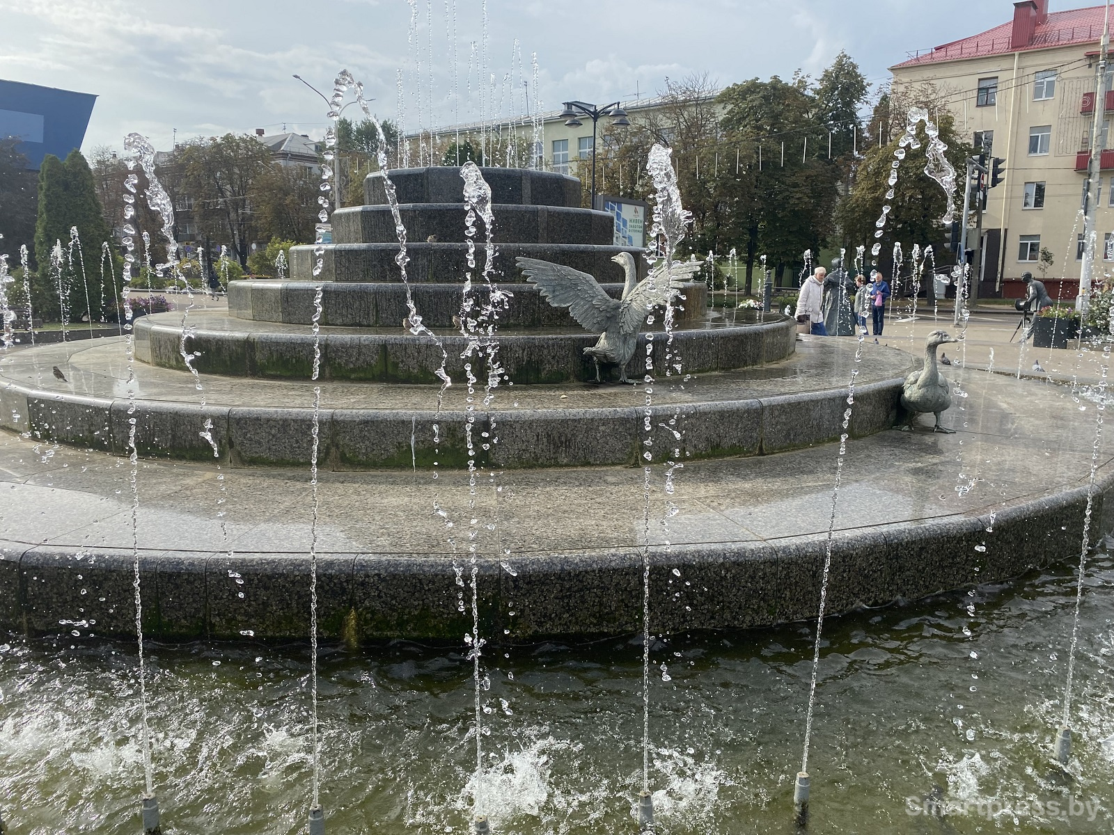 фонтан гуси