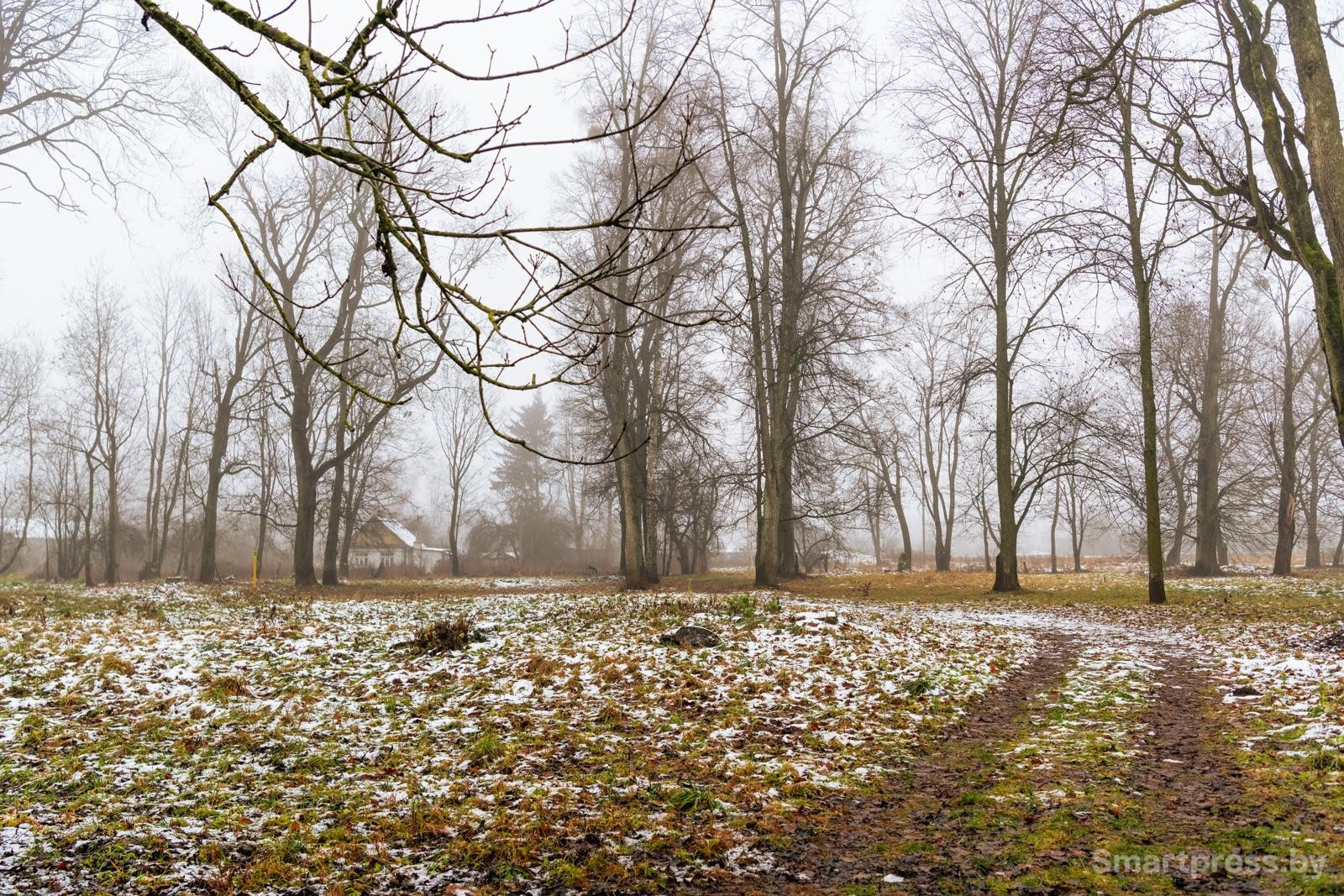3-Территория вокруг усадьбы Котлубаев.jpg