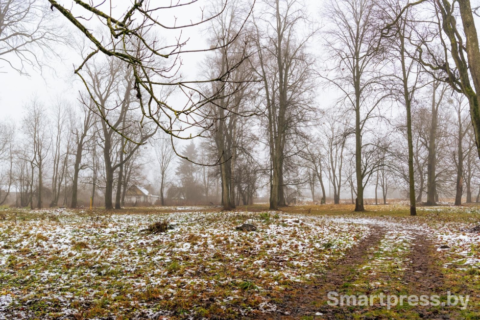 3-Территория вокруг усадьбы Котлубаев.jpg