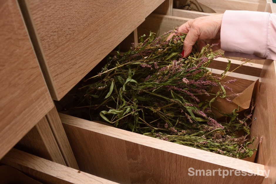 Засушенная лаванда.jpg