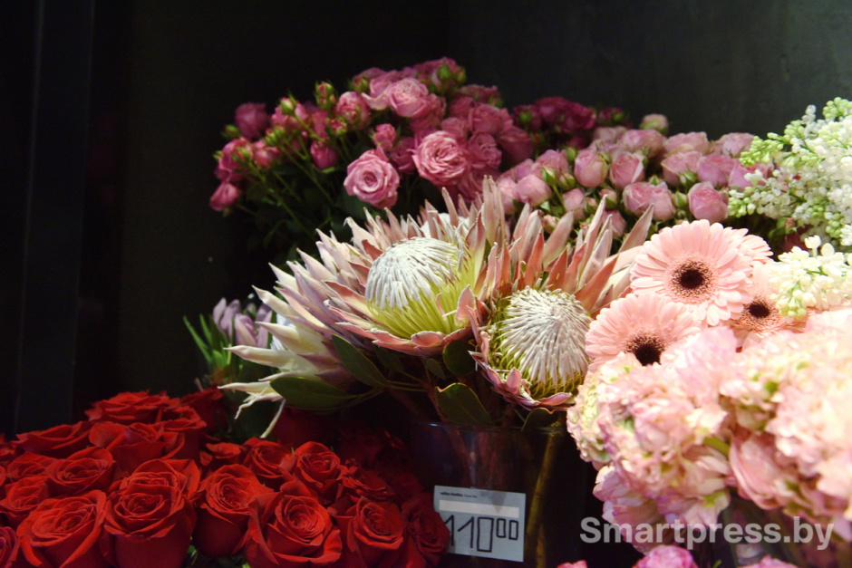 Vetka-Kvetka протея