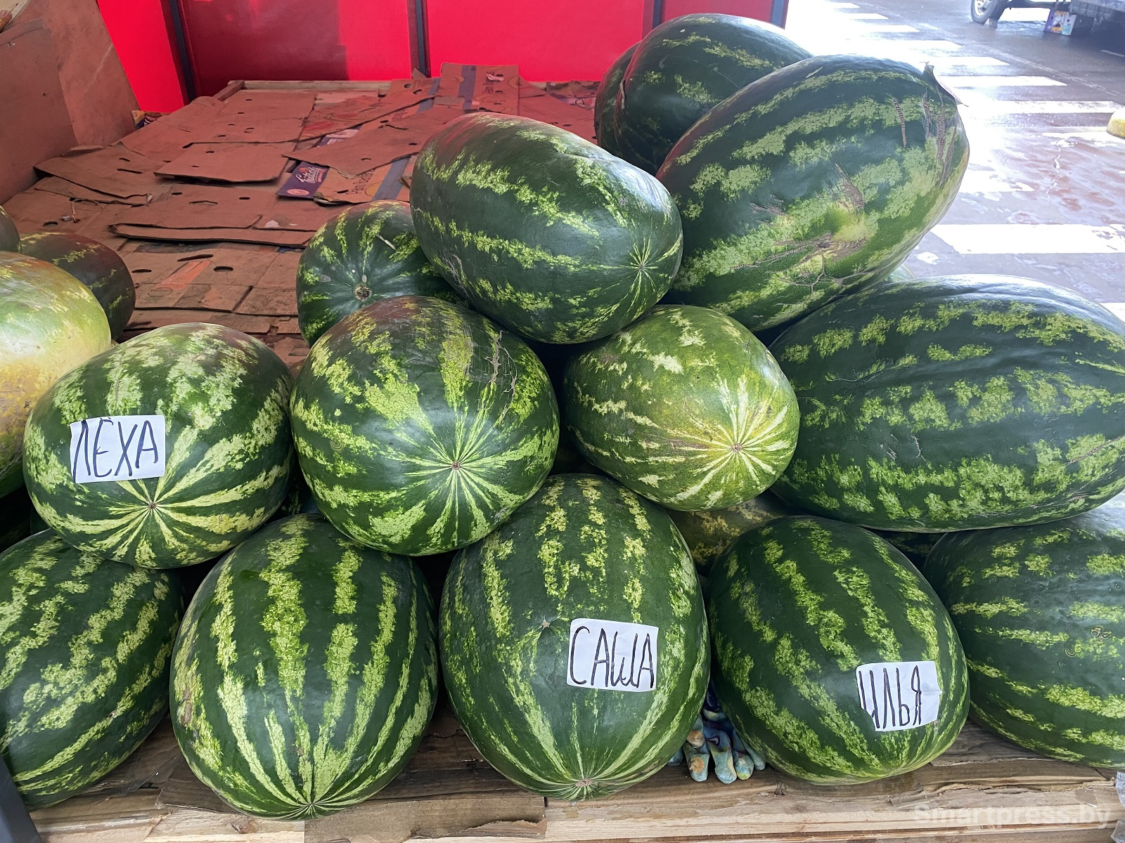 арбузы Саша, Леха и Илья