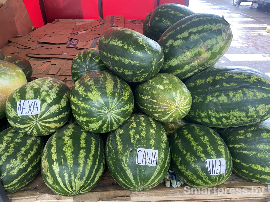 арбузы Саша, Леха и Илья