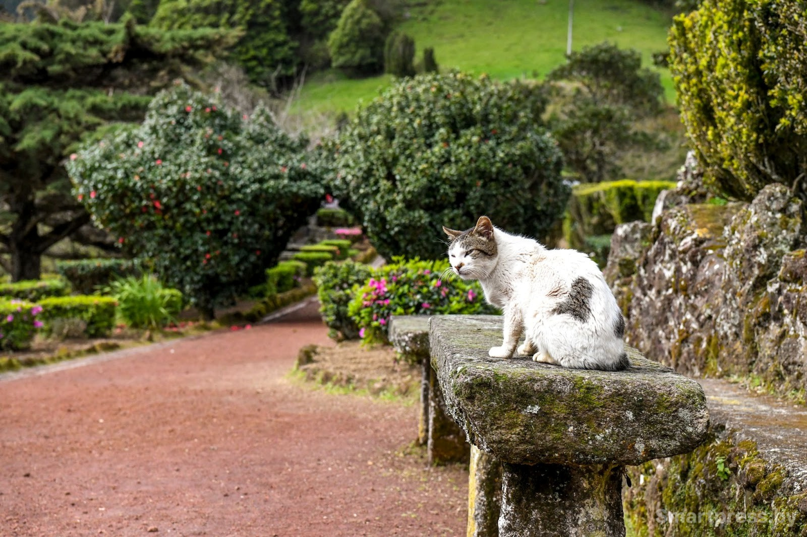 7-Обзорная площадка Miradouro da Ponta da Madrugada на острове Сан-Мигел.jpg