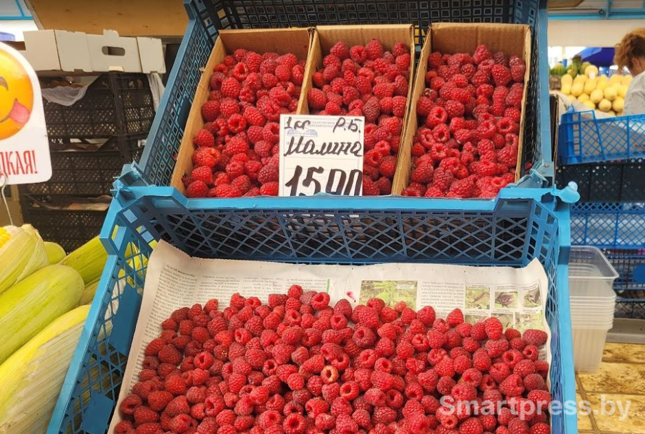 photo_2025-08-25_11-28-20 (6).jpg