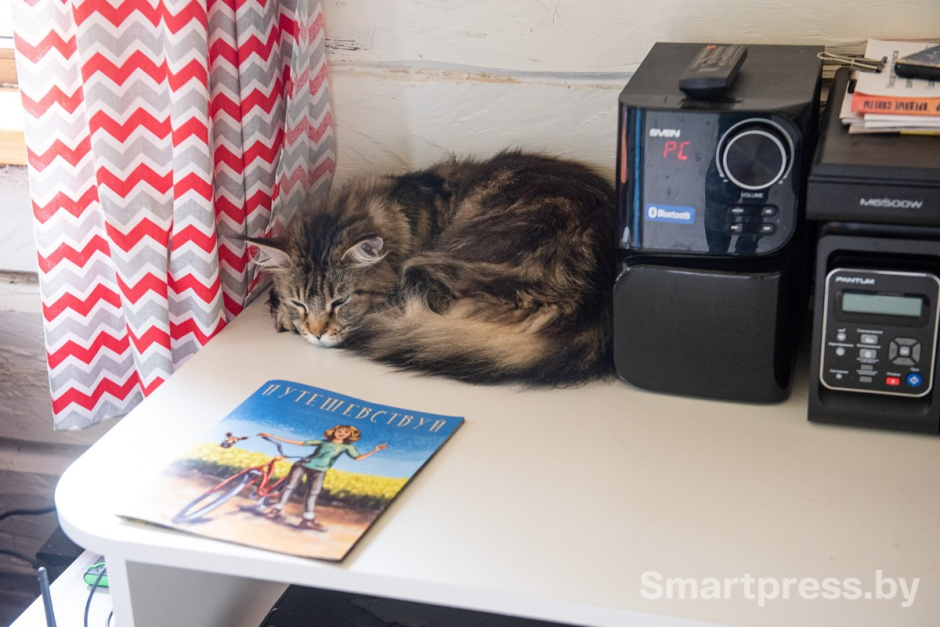 21-Кошка Кэсси с хутора Сматра.jpg