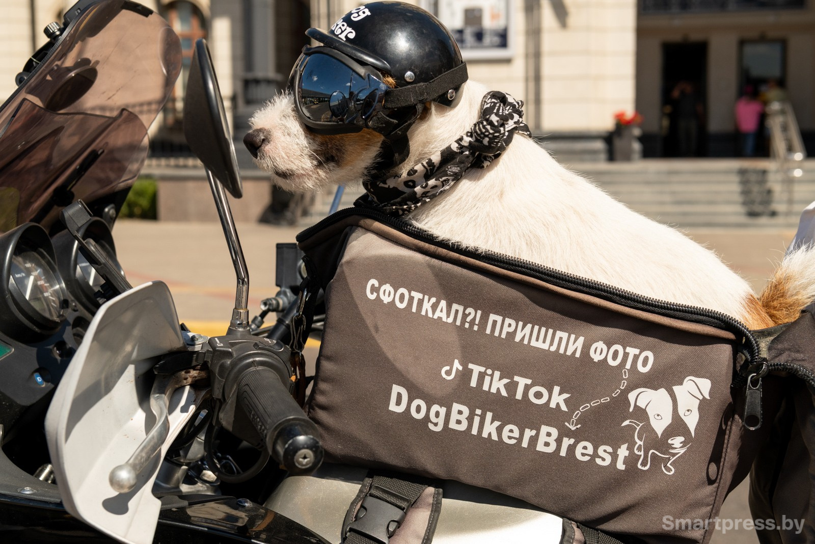 4-Джеки в своей сумке-сиденье.jpg