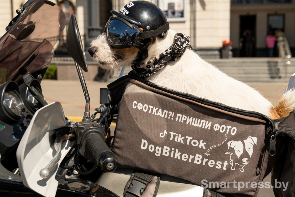 4-Джеки в своей сумке-сиденье.jpg