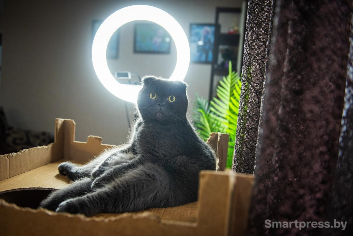 19-Боня истинная принцесса с собственным нимбом над головой.jpg