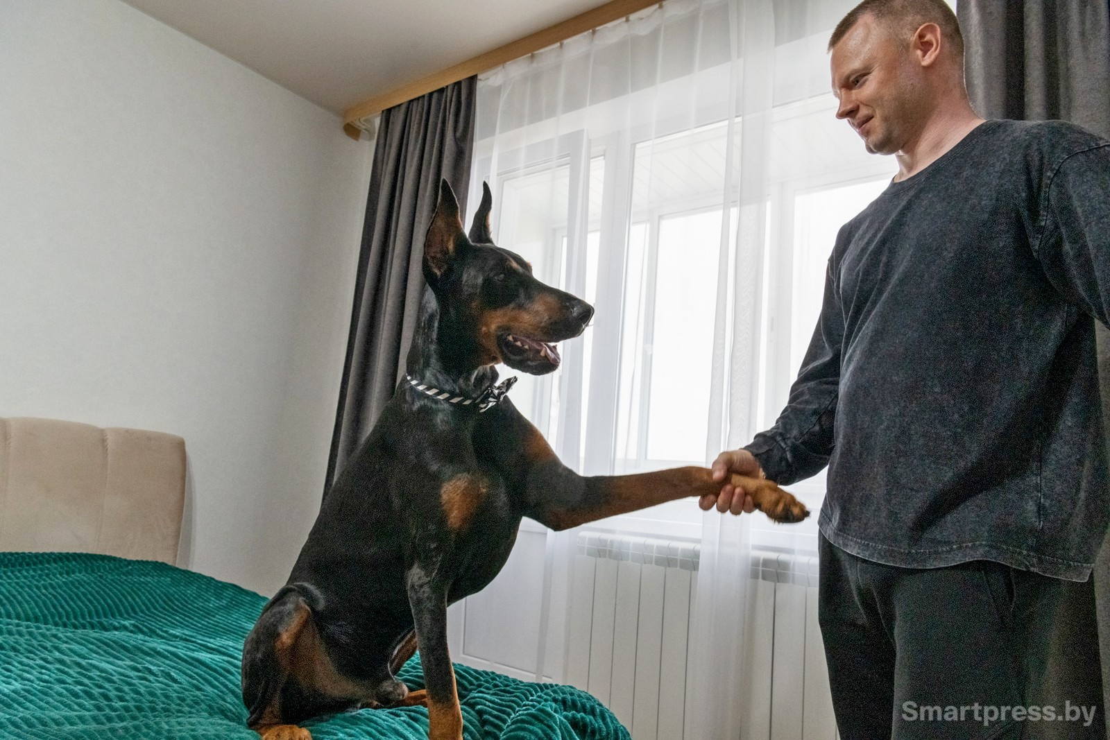 7-Рагнар выполняет команды Павла.jpg