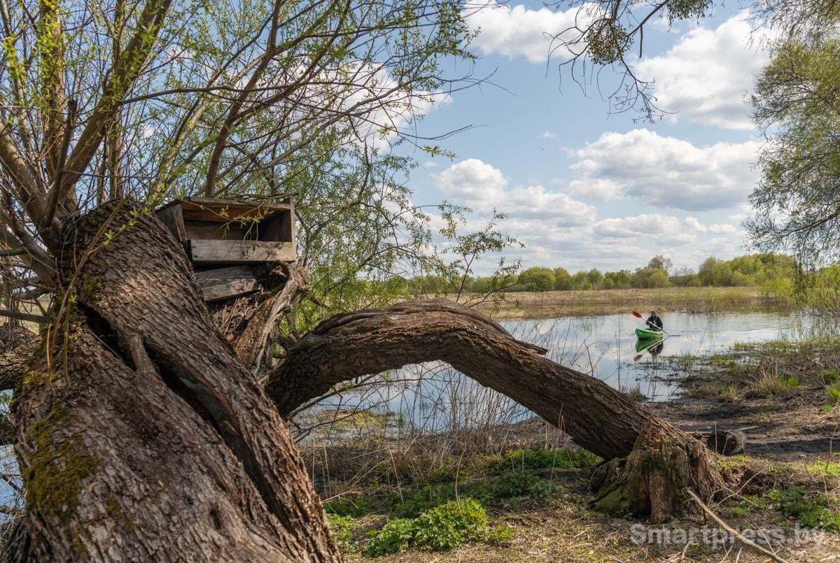 10-На Туровском лугу.jpg