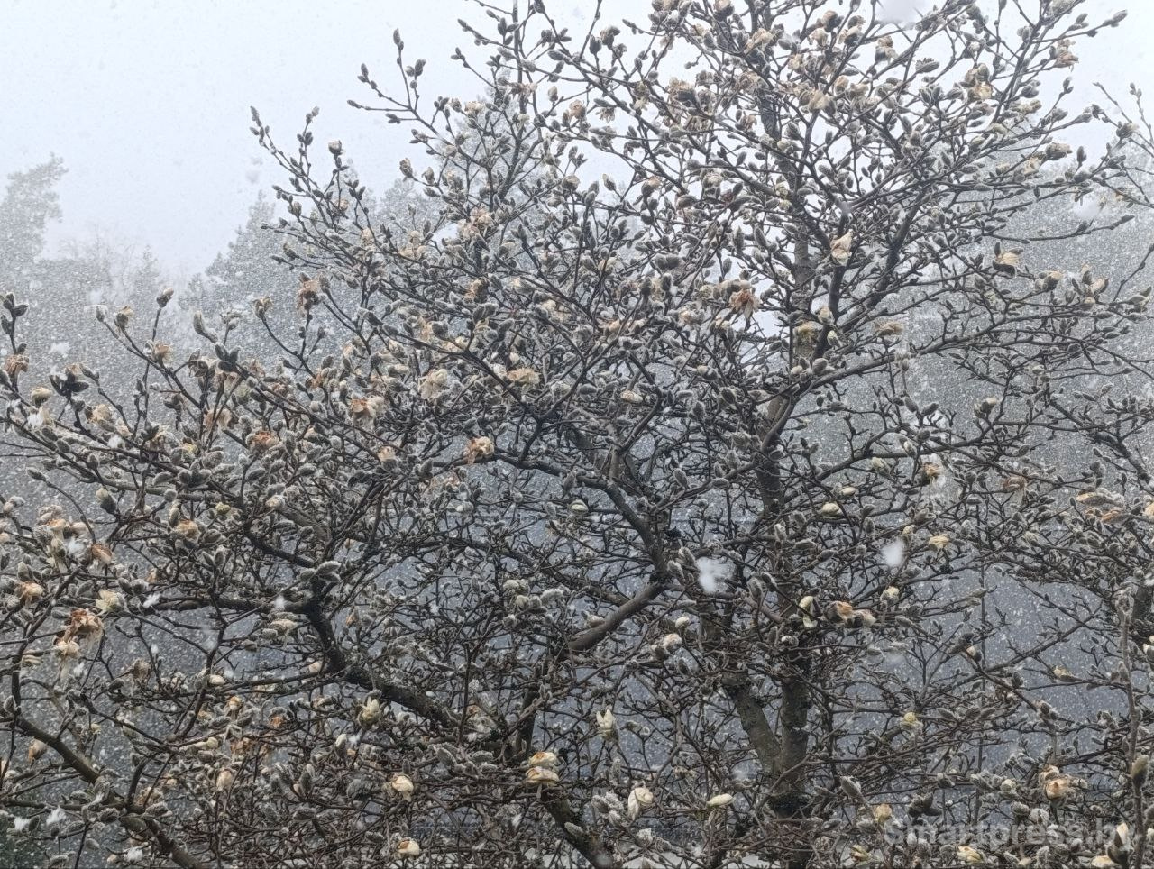 Погода в Апреле.jpg