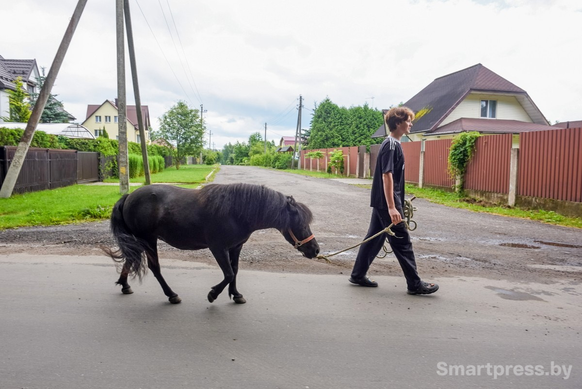 25-Пони Сирень гуляет по Ходаково.jpg