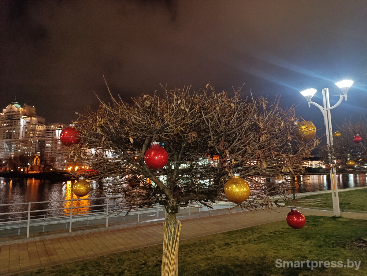 немига_новый_год_0012 (1)