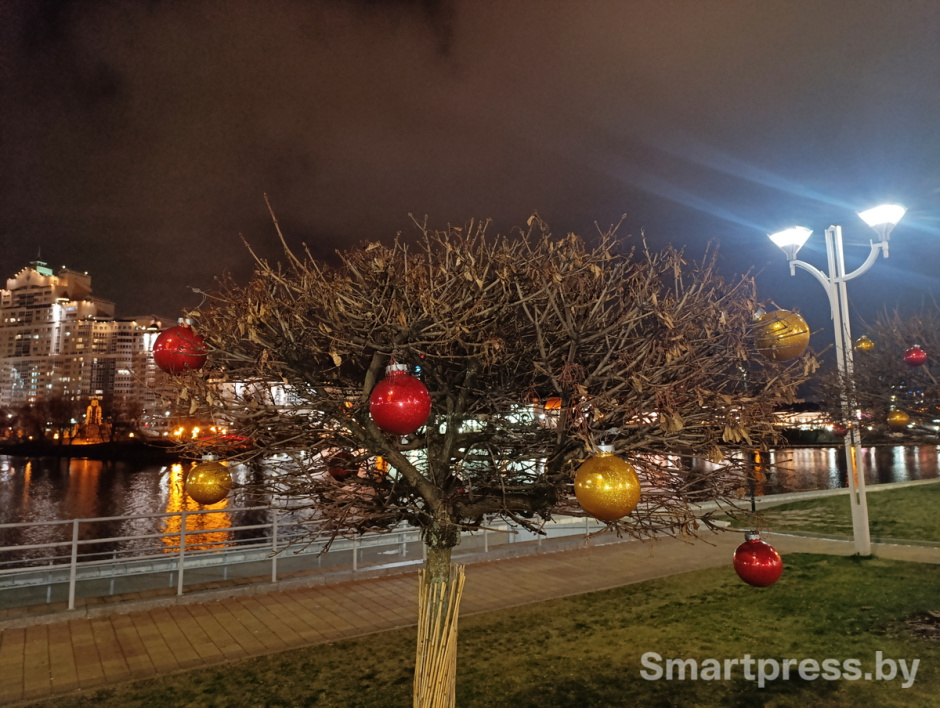 немига_новый_год_0012 (1) немига_новый_год_0012 (1)