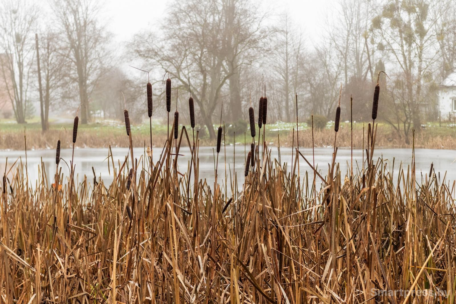 23-Возле усадьбы в Ястрембеле.jpg 23-Возле усадьбы в Ястрембеле.jpg