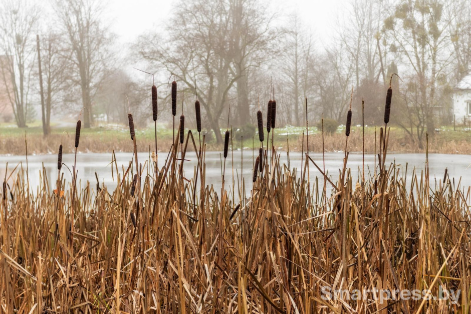 23-Возле усадьбы в Ястрембеле.jpg