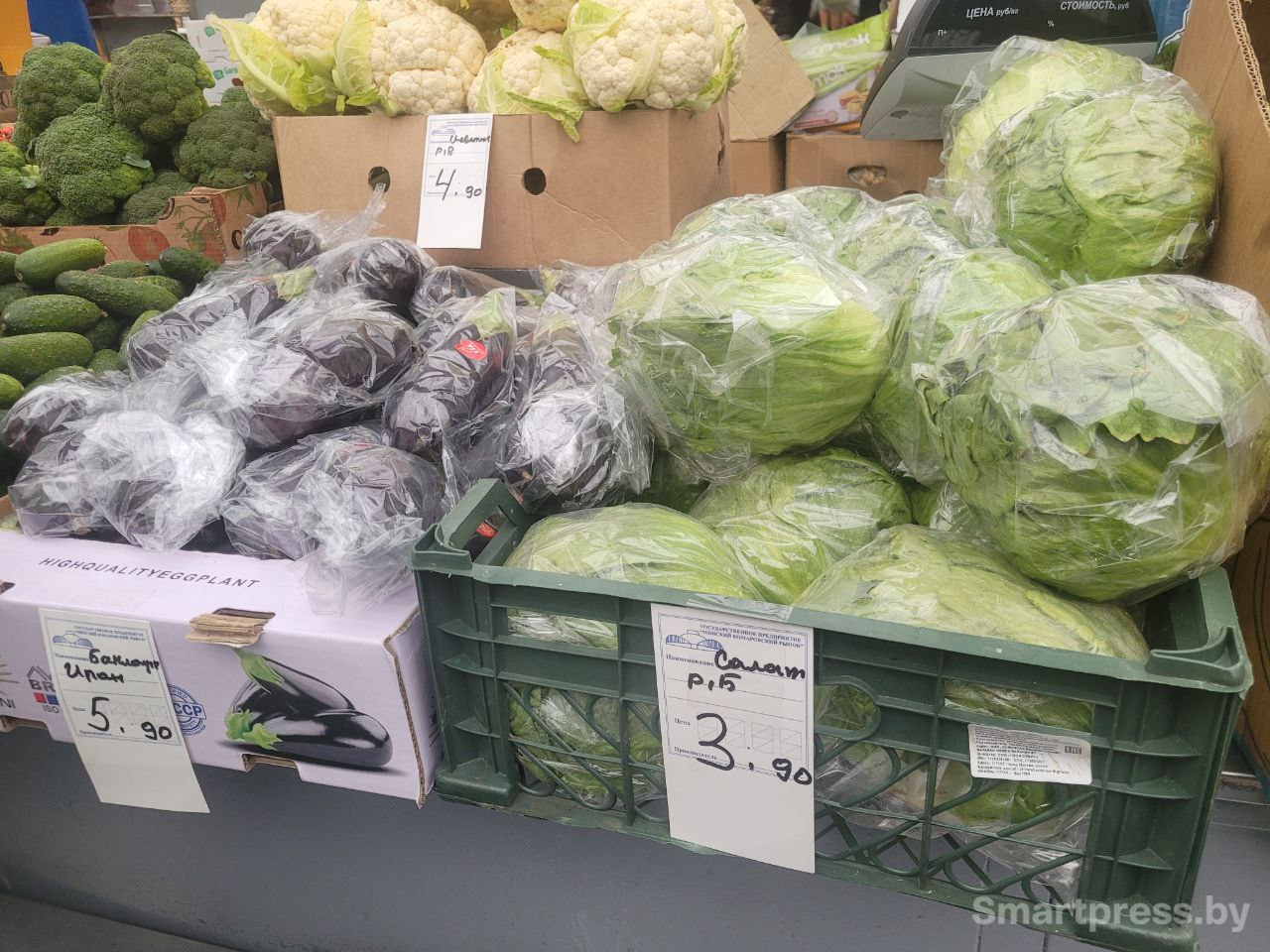 баклажаны и салат баклажаны и салат