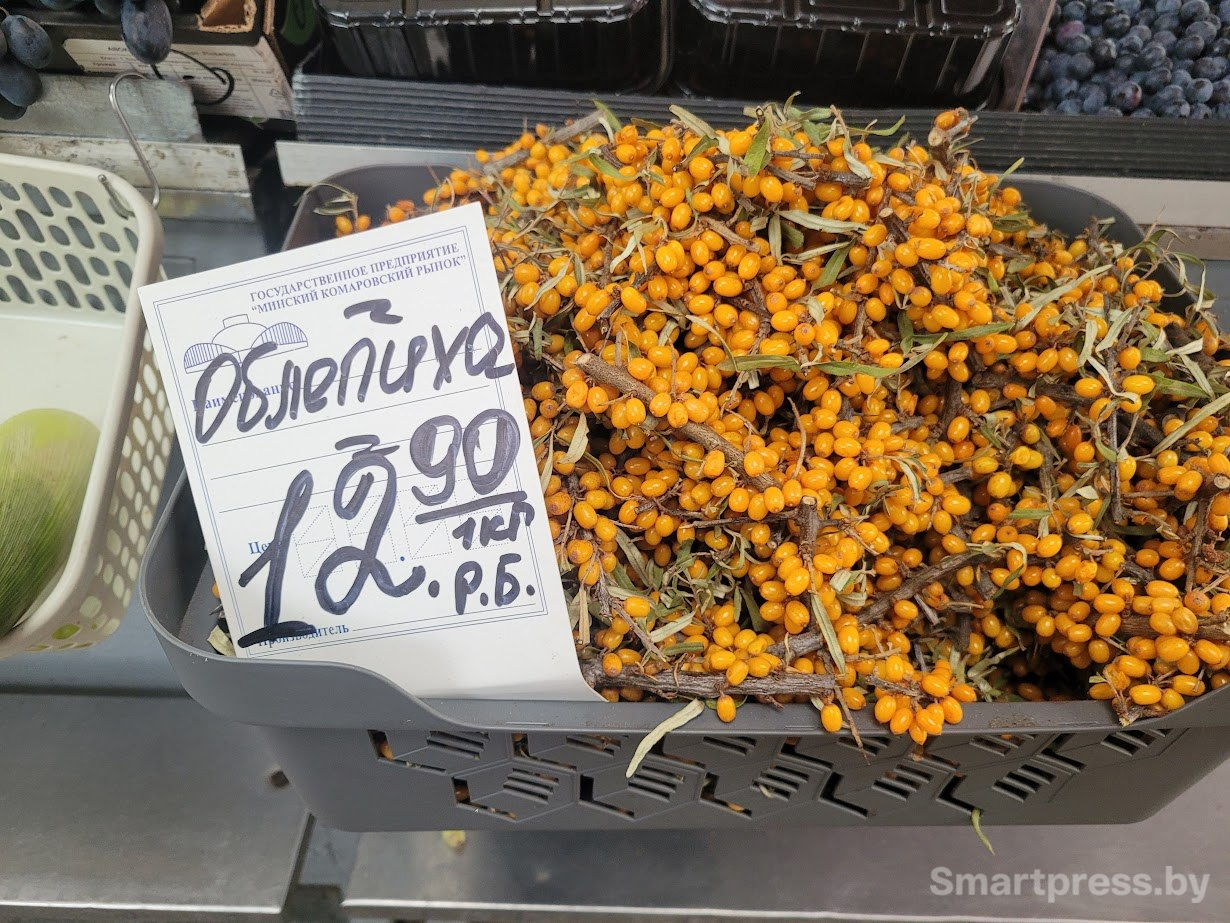 облепиха облепиха
