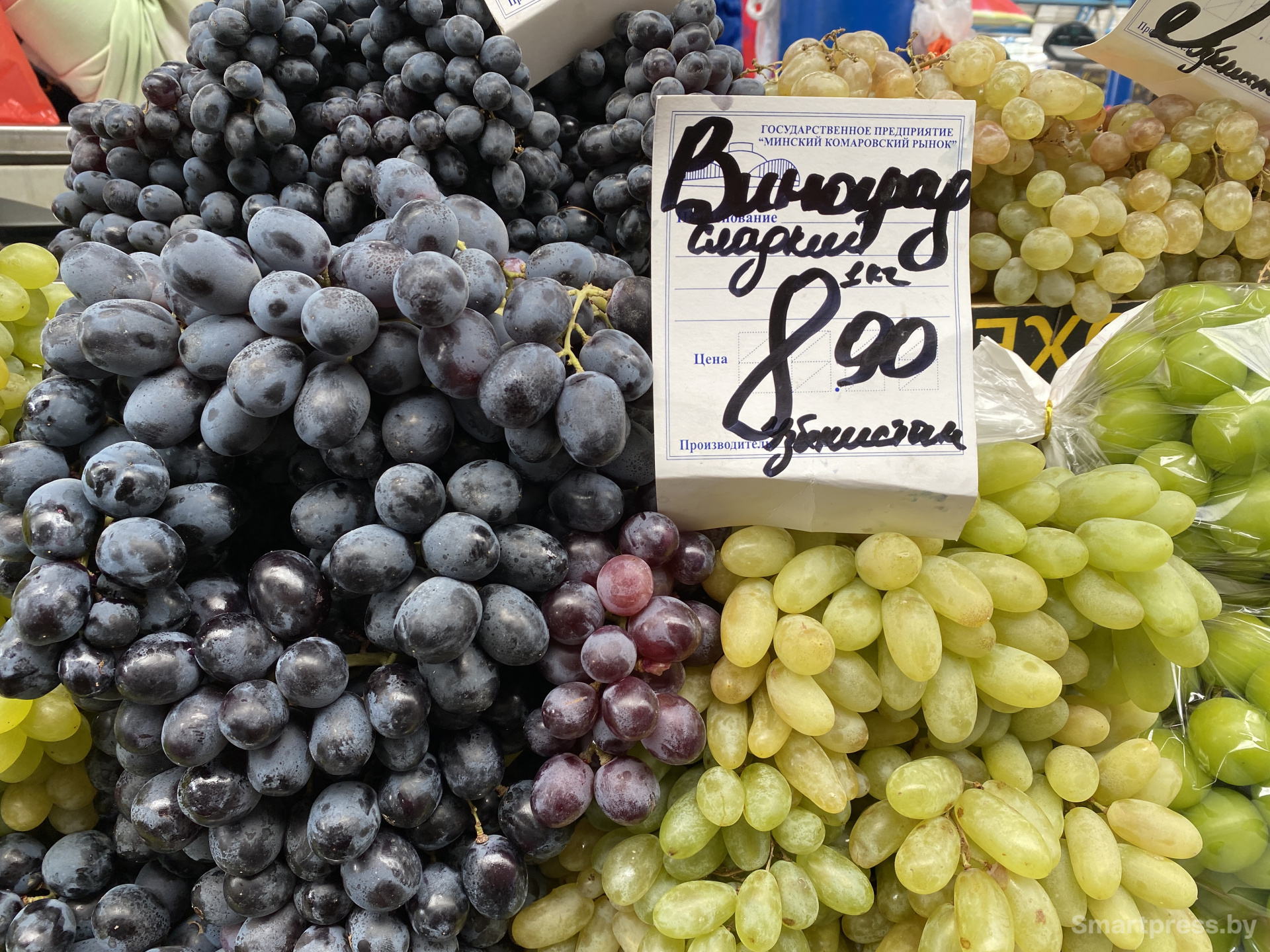 Виноград Узбекистан