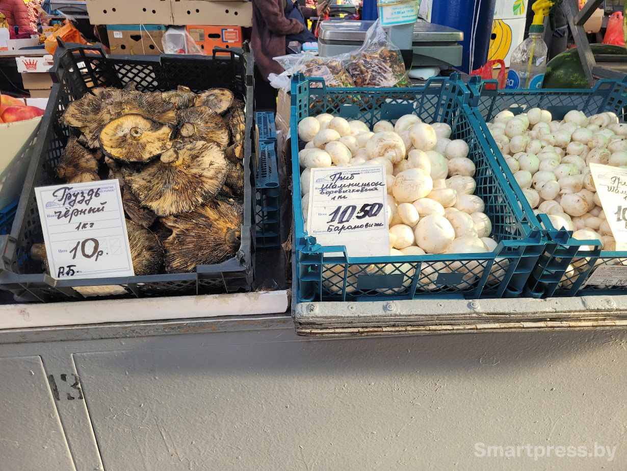 грузди-шампиньоны