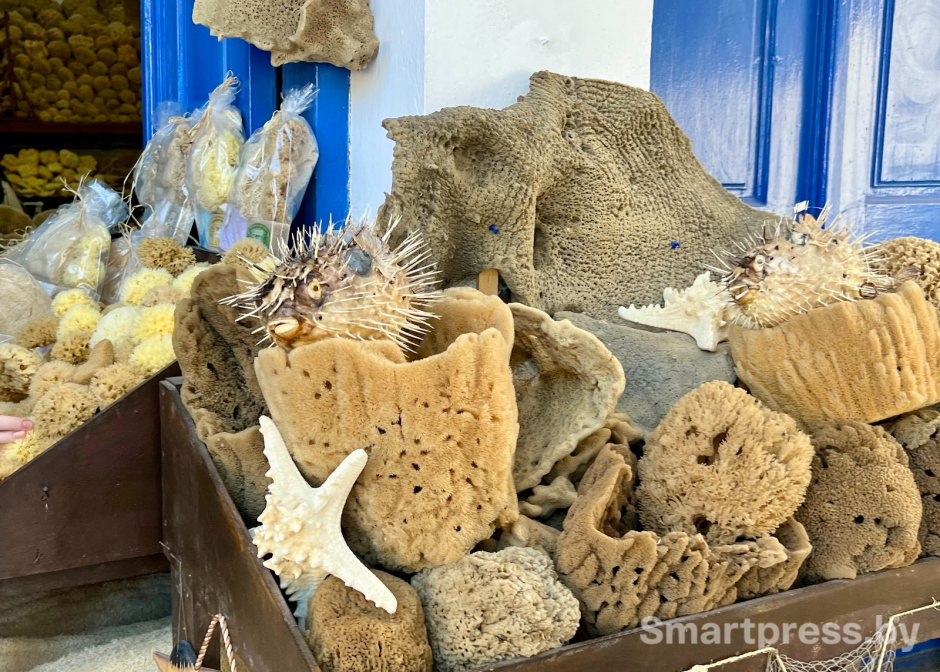 8-Морские губки.jpg