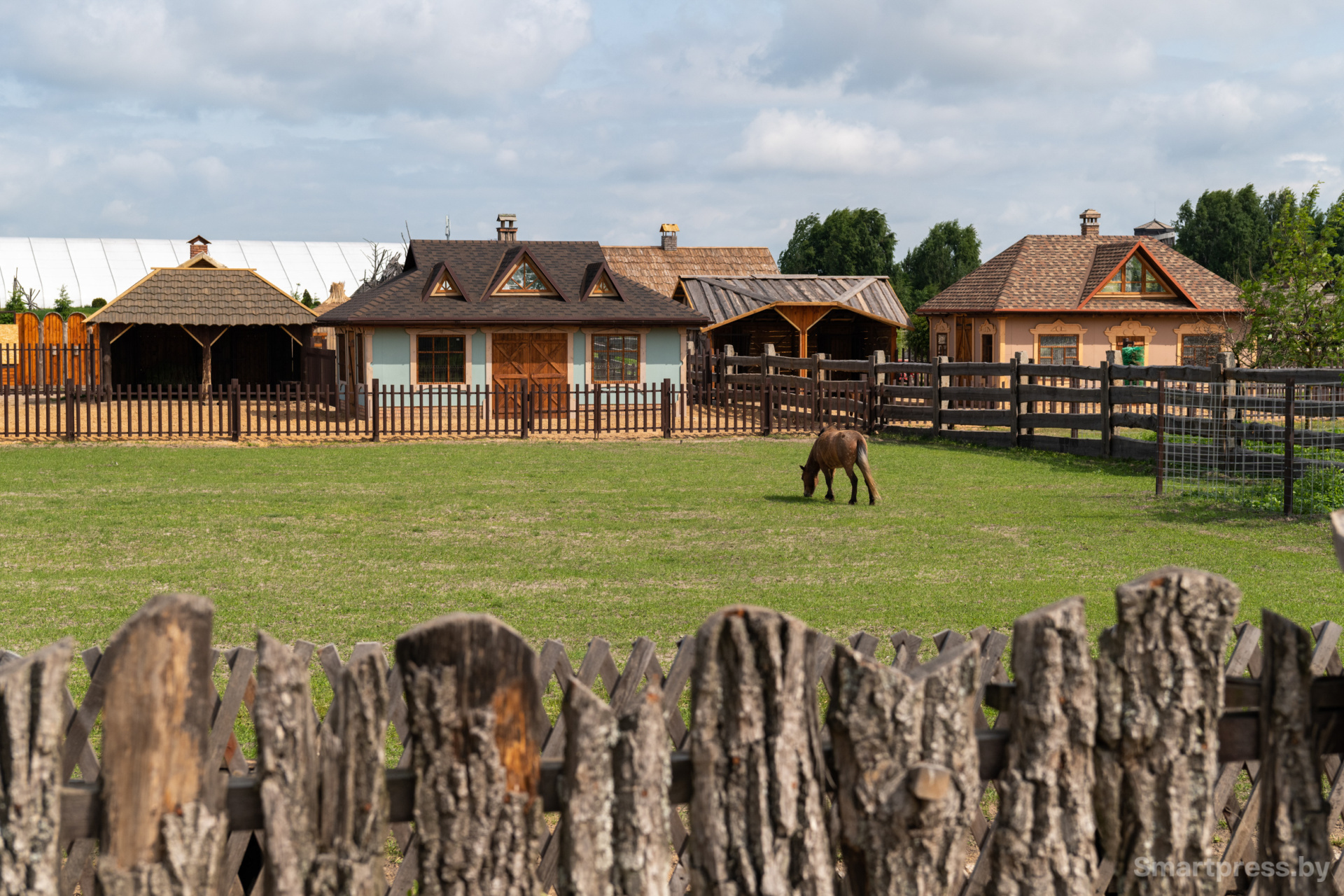 Домики для животных.jpg