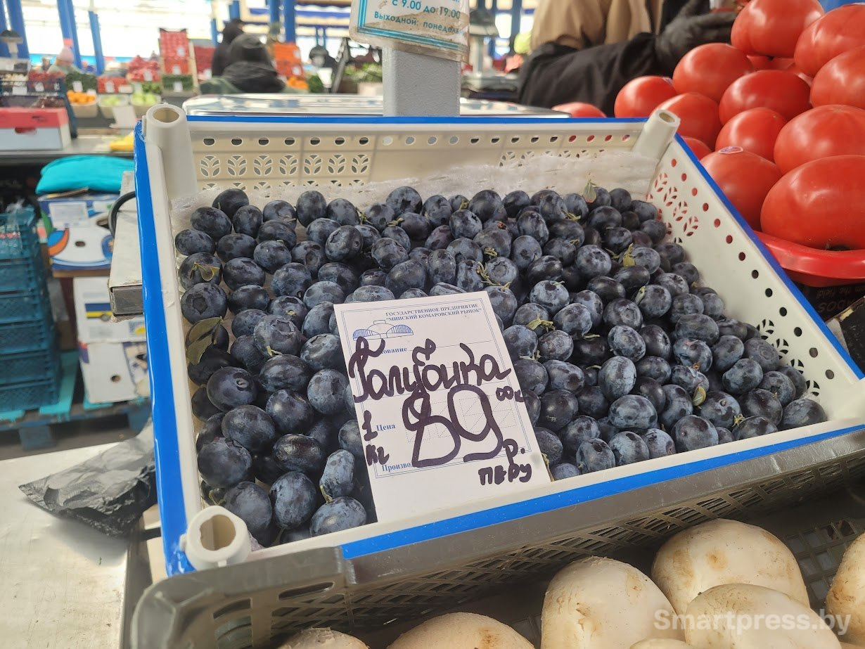 photo_2026-04-26_11-05-24 (3).jpg