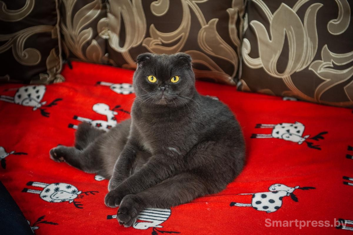 3-Боня с первой минуты показывает что звезда здесь она.jpg