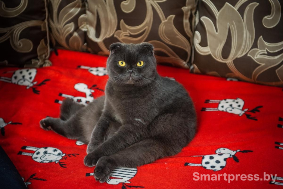 3-Боня с первой минуты показывает что звезда здесь она.jpg