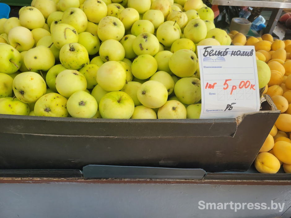 photo_2025-08-25_11-28-20 (2).jpg