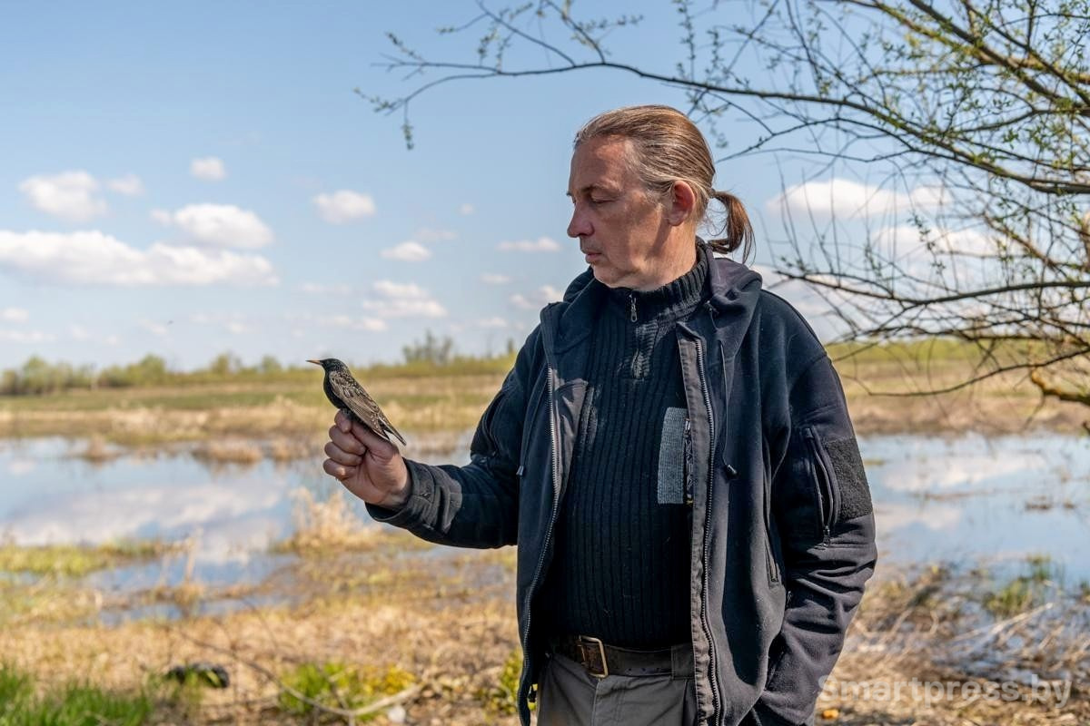 6-В руках Павла Пинчука скворец.jpg