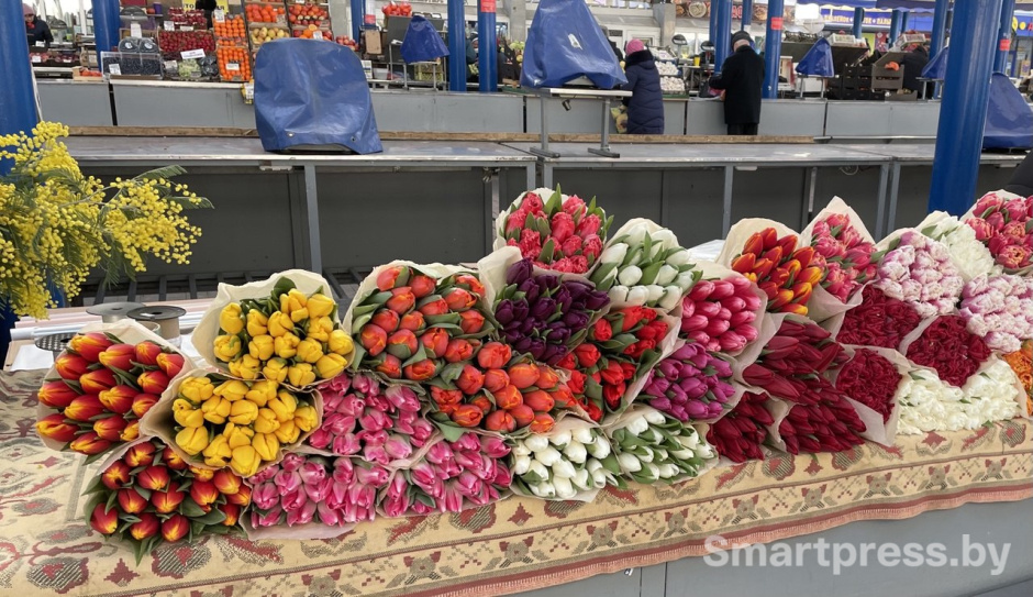 тюльпаны тюльпаны