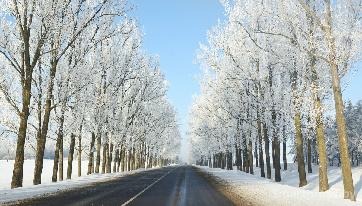 зима мороз снег дорога