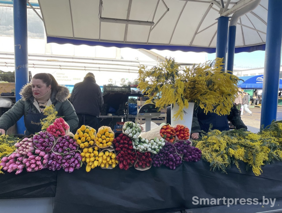 Мимозы Мимозы