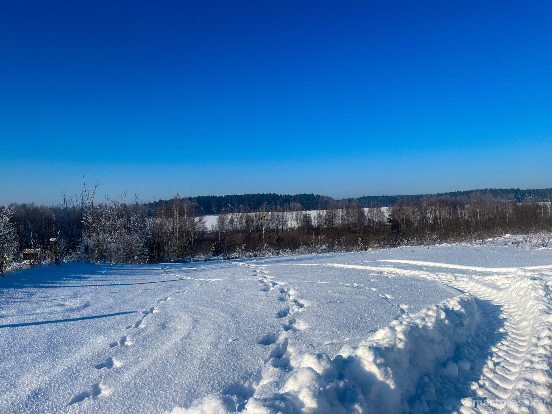 Ненадовичи