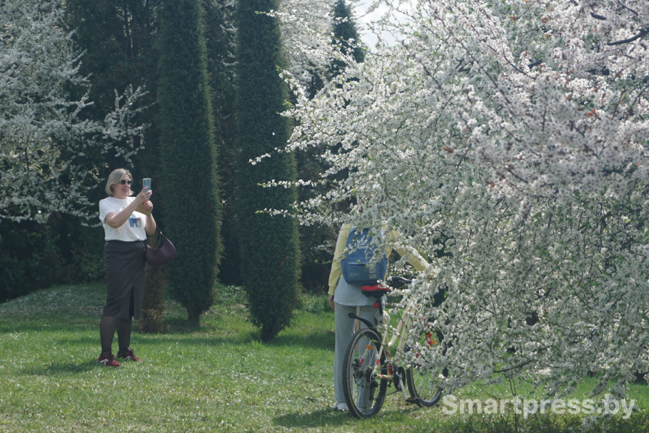 лошицкий парк.jpg