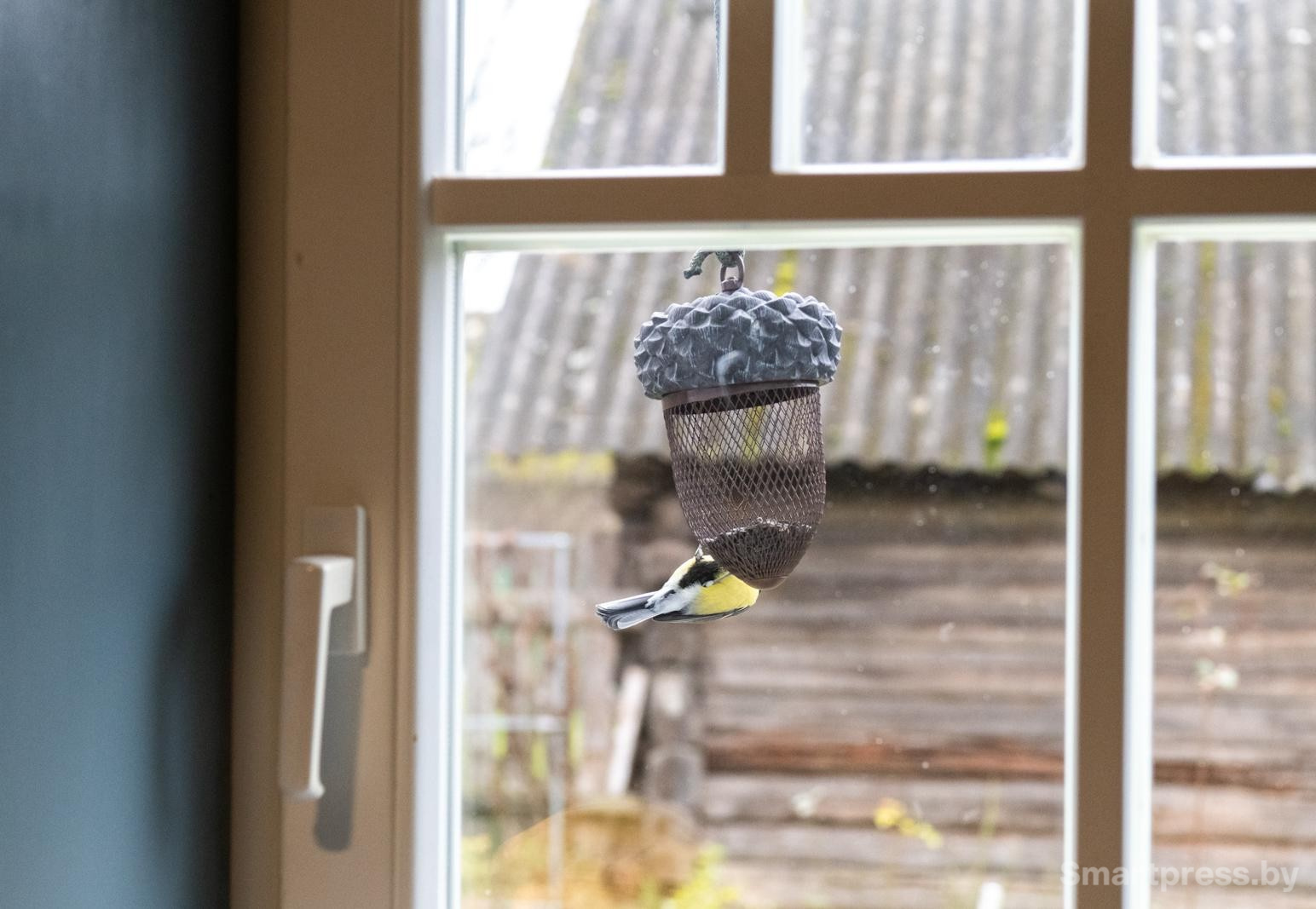 3-Кормушка для синичек за окном.jpg