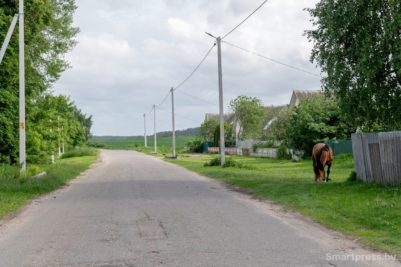 17-Деревня Неглюбка Ветковского района.jpg