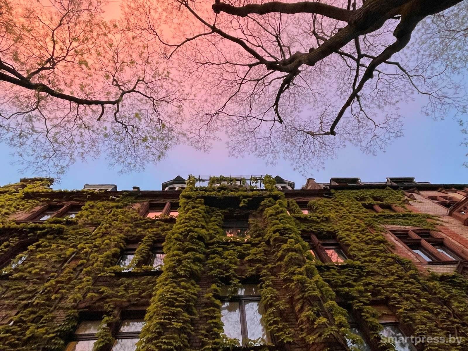 15-Район Sachsenhausen Франкфурт.jpg