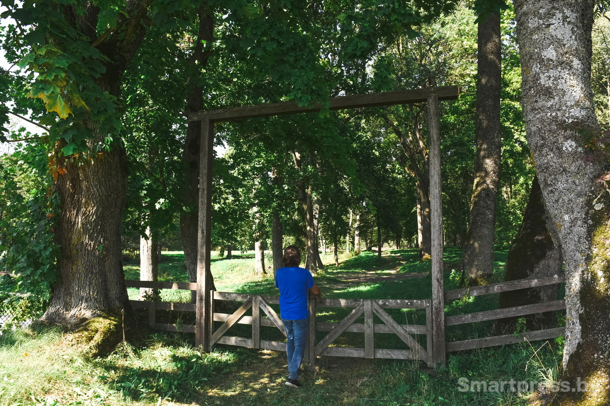 Фундоковый сад (4).jpg