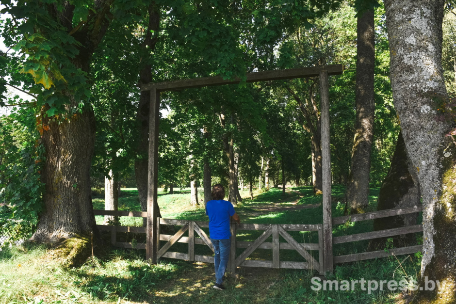 Фундоковый сад (4).jpg