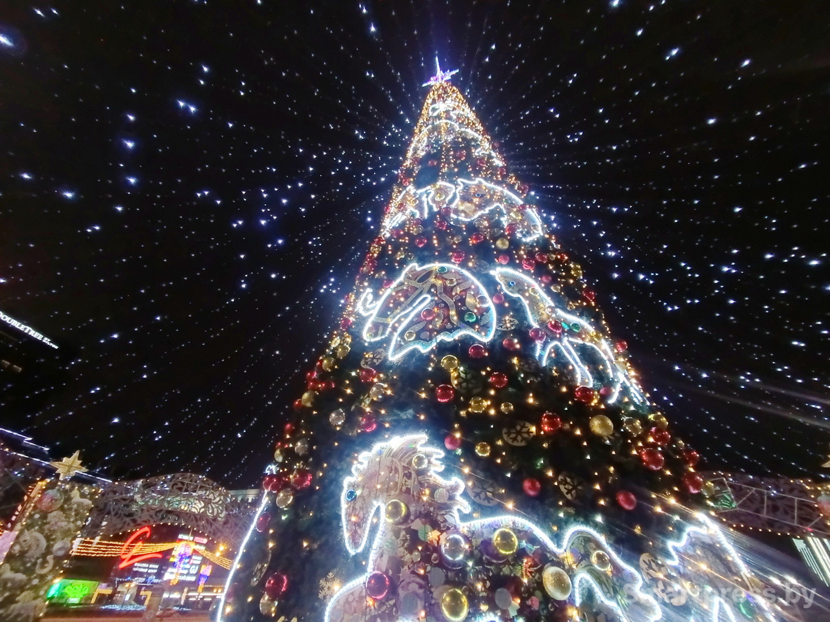 немига_новый_год_0009