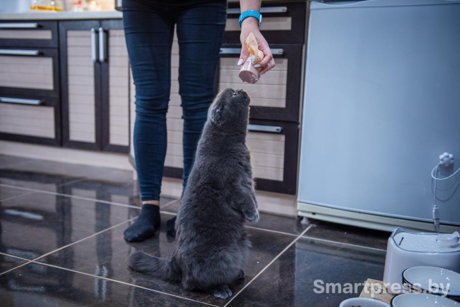 20-Боня показывает суслика.jpg