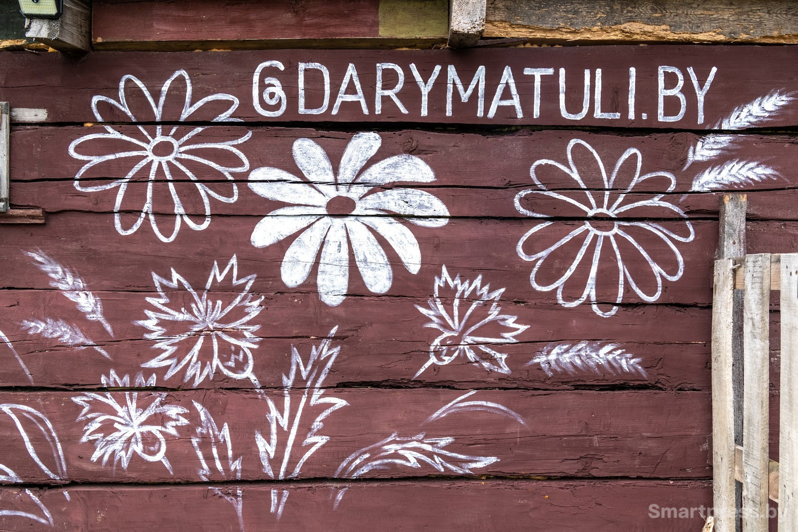 6-Женщина разводит коз в белорусской деревне.jpg