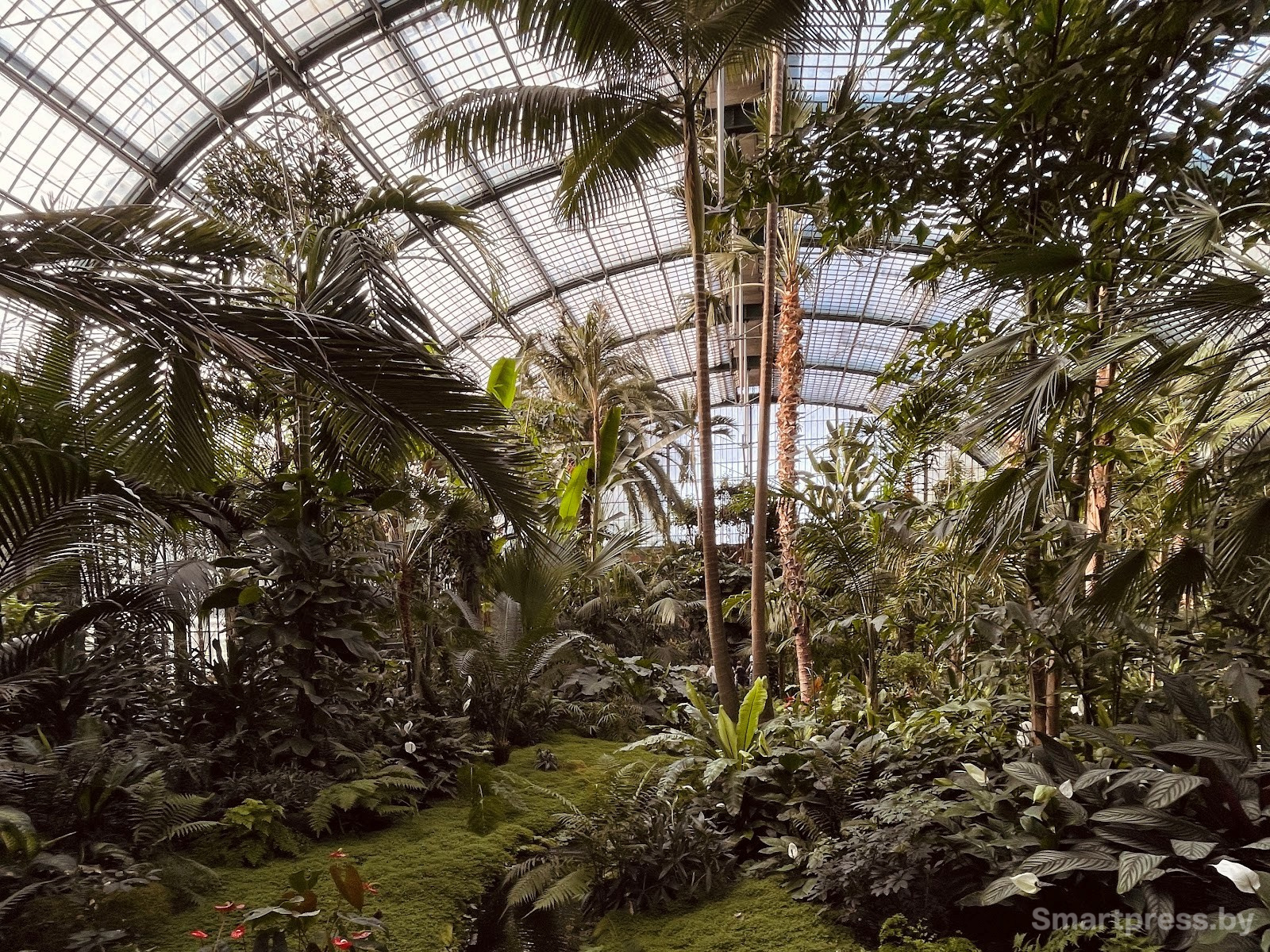 11-Парк Palmengaten Франкфурт.jpg